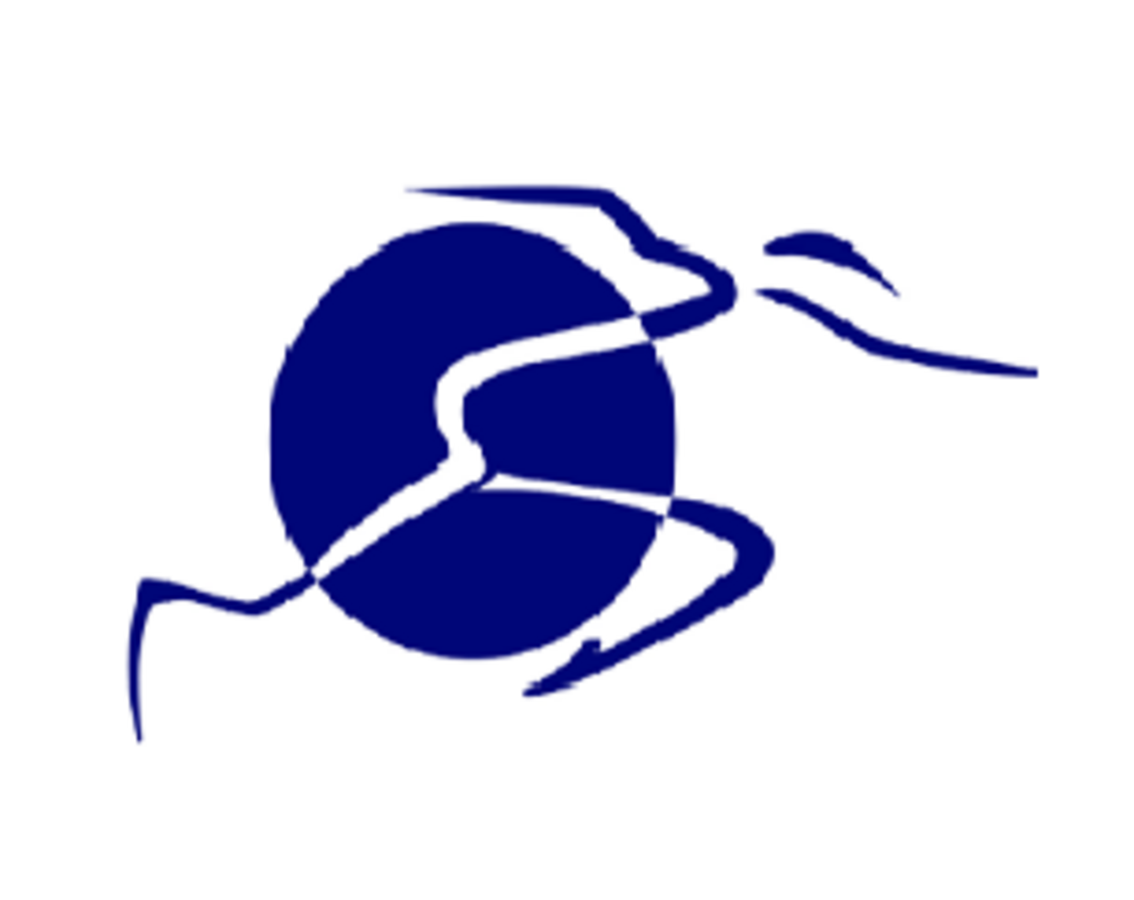 Roadrunnerfoot Engineering srl logo