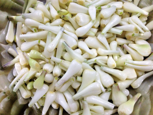 Vietnamese Picked Scallion Heads <b>Jar</b> Anna - Product Image 2
