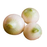 Oignons frais vietnamiens de qualité supérieure, emballés en carton par Kim Minh International, durée de conservation de 2 à 3 mois, pour l'exportation, la vente en gros et l'utilisation culinaire