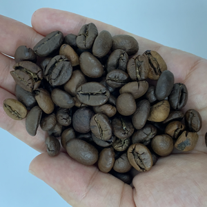 เมล็ดกาแฟอาราบิก้าคั่วแบบออร์แกนิกคุณภาพสูงจากเวียดนามบริการ OEM/ODM จำนวนมากพร้อมดีลสุดฮ็อตรสน้ำผึ้งเข้มข้น - Product Image 4