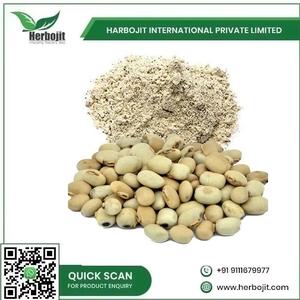 Kounch สารสกัดจากสมุนไพรผงโภชนาการจากพืชธรรมชาติเพื่อเสริมสุขภาพของผู้หญิง - Product Image 6