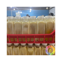 Bevroren Calamansi Puree Vietnam Leverancier Verse Tropische Calamansi Puree Premium Export Kwaliteitsproduct Goede Prijs Deal