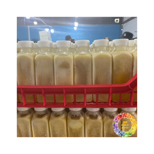 Puré de Calamansi Congelado, Proveedor de Vietnam, Puré de Calamansi Tropical Fresco, Producto de Calidad de Exportación Premium, Gran Oferta a Precio - Product Image 2