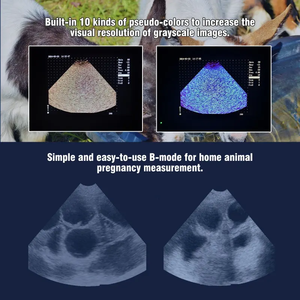 Ultrasone Scanner Voor Grote Dieren Diergeneeskundig Instrument Herbruikbare Diagnostische Apparatuur Gecertificeerd En Betrouwbaar Gebruikt Door Dierenartsen - Product Image 2