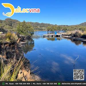 LOGS COIR: UNA SOLUCIÓN A LARGO PLAZO PARA LA PROTECCIÓN DE LA EROSIÓN - Product Image 6