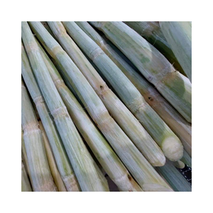 BÂTON DE CANNE À SUCRE NATURELLE DU VIETNAM Bâton de canne à sucre congelé de haute qualité - Product Image 1