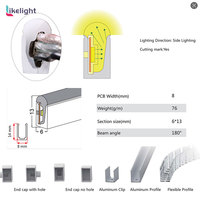 Tube flexible néon LED étanche 6x13mm, bande lumineuse à émission latérale IP66, profil en silicone pour solution d'éclairage de projets architecturaux