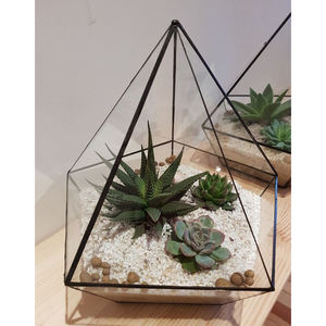 Terrarium polyvalent en verre transparent doré avec bordure en laiton, vente à chaud, vintage, nouvelle arrivage, prix de gros, décoration pour la maison et le mariage - Product Image 1