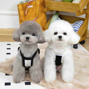 Doe Pet Wholesale - Nouveaux vêtements de luxe pour chiens - Vêtements d'été personnalisés et mignons pour petits chiens - Product Image 3