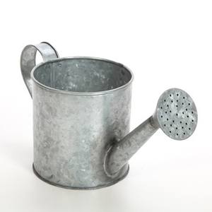 Arrosoir d'entretien des plantes d'intérieur de Style Vintage rustique gris clair galvanisé métal Durable fer acier laiton poignée faite Durable - Product Image 4