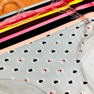 Women Panty Underwear Ladies Brief Box panty <b>Thong</b> Apparel Stock Lot Overrun Panties Mixed Leftover Women Panties Surplus hanger - Product Image 5