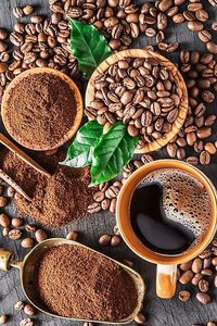 GRAN CALIDAD SUPERIOR VINTAGE PROCESO DE MIEL DE CAFÉ TOSTADO DE HANCOFFEE VIETNAM MUESTRA DE APOYO - Product Image 2