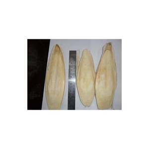 Huesos de sepia naturales a granel estilo congelado para tasas de salud de aves - Product Image 6