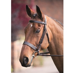 ผู้ผลิตร่องหนังแฮนเตอร์ Cavesson ร่องหนังกายวิภาค Snaffle หนังอินเดีย ร้อนหลายสีหนังแท้ร่องม้า - Product Image 1