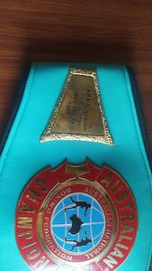 Cinturones de Campeonato Personalizados, Trofeos, Medallas y Premios: el Símbolo Definitivo de la Victoria y la Excelencia - Product Image 3