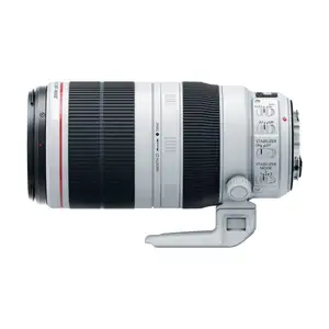 EF 100-400毫米f/4.5-5.6L is II USM镜头，镜头只有高质量最好使用照片