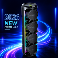 Enceinte Karaoké Sans Fil pour Fêtes avec Affichage LED RGB, Micro Intégré, en Plastique, Puissance 40W, Assistant Vocal IA pour l'Extérieur