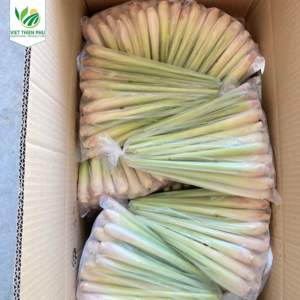 VIET THIEN PHU VTP/IQF Vegetales de hierba de limón congelados orgánicos Cantidades a granel para exportación Origen Vietnam - Product Image 3