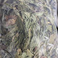 Feuilles de pissenlit séchées de qualité supérieure | Herbe naturelle pour le thé et la désintoxication | Exportation en vrac