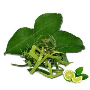 Feuilles de citron vert séchées de qualité alimentaire Makrut Feuilles de citron vert Prix de gros Emballage OEM de très haute qualité fabriqué au Vietnam - Product Image 1