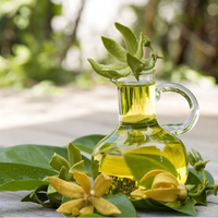 Huile essentielle d'ylang Ylang pour les parfums et les parfums à usage unique, huile cantanga odora complète de meilleure qualité, huile organique Pure 100%