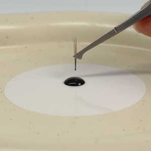 [BL LASH] Colle coréenne vegan transparente à séchage rapide et résistante à l'eau pour extensions de cils, faible odeur - Product Image 2