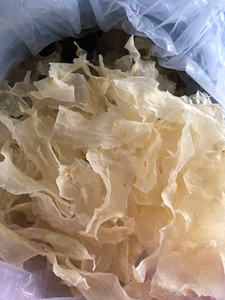 Vietnam Origin Natural Dried <b>Fish</b> Maw Bulk Supply No Bleach No Preservatives High Nutrition Seafood for Export - Product Image 6