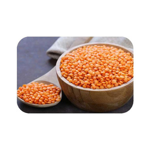 Lentilles rouges nettoyées et triées, commande en gros, légumineuses de qualité supérieure, offre d'exportation fiable - Product Image 1