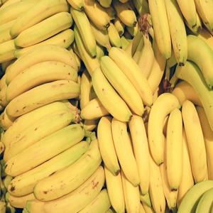Premium Quality Fresh Fruit Common Cultivation Type <b>Sweet</b> Taste Cavendish <b>Banana</b> Origin - Product Image 1