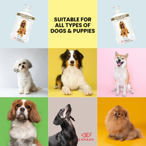 Champú Aniclean para Perros con Fórmula Equilibrada de pH Aprobada por Peluqueros Caninos, Experiencia de Baño Lujosa, Económica y Accesible - Product Image 4