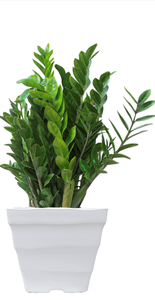 Usine en gros Durable Serre en plastique Pépinière Cultiver Pots-Hortensia Pot - Product Image 4