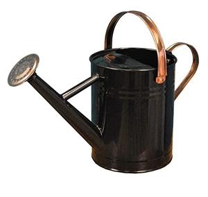 Regadera de hierro de Metal hecha a mano para riego de plantas verdes, diseño único, fabricante personalizado - Product Image 3