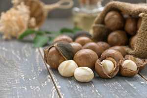 Fast delivery <b>Macadamia</b> <b>nuts</b> wholesale bulk supply affordable top quality - Product Image 6