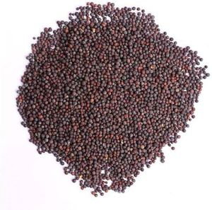 Wholesale Mustard <b>Seeds</b> Bulk <b>Packing</b> Pure And Natural Mustard <b>Seeds</b> With Excellent Aroma And Quality - Product Image 4