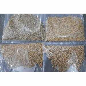 Proveedor a granel de semillas de guar/Semillas de guar Phali Categoría de grano a precio de fábrica - Product Image 5