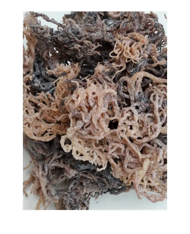 El mejor precio Sea Moss All Natural Ocean Raw Gold Irish Seamoss Organic Sundried Seaweed de Vietnam