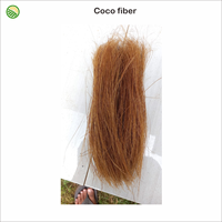 Tapete de Fibra de Coco Natural Marrón, Cerdas de Coco de Alta Calidad Premium, 12-13 cm, Embalaje Personalizado, Uso Agrícola, Indonesia