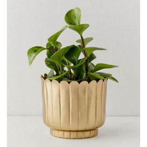 Macetas modernas de pie de Metal para decoración del hogar, Juego de 2 macetas para flores para el hogar, Hotel, sala de estar, maceta decorativa - Product Image 3