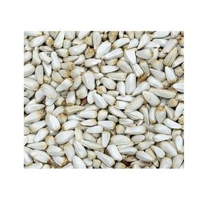 Graines de carthame de haute qualité d'origine américaine pour l'exportation en vrac, durée de conservation de 1 an, pour l'alimentation des animaux et des oiseaux, prix compétitifs - Product Image 1