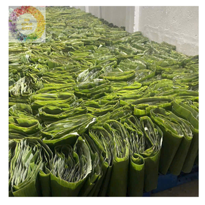 Clean and Natural Frozen <b>Banana</b> Leaves Grown in Vietnam, Ideal for Sticky Rice and Tropical Dishes - Product Image 2