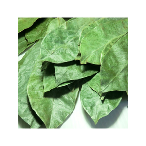 Té de hierbas vietnamita de alta calidad, hojas de Graviola secas de Guanábana a buen precio, la mejor opción - Product Image 1