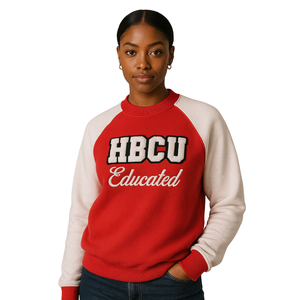 HBCU educado rojo DST mangas raglán sudadera Chenille bordado hermandad griega Delta Divine Nine Collegiate moda suéter - Product Image 1