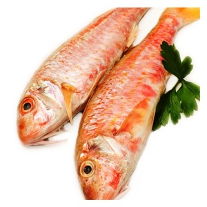 Mullet rouge congelé de haute qualité (produits de la mer) disponible à la vente à bas prix - Product Image 1