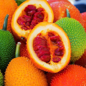 PURÉ DE FRUTAS GAC CONGELADO DE CALIDAD PREMIUM VENTA AL POR MAYOR OFERTA CALIENTE PRODUCTO DE EXPORTACIÓN SUPERFRUTA NATURAL SALUDABLE - Product Image 5