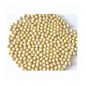 Soja sans OGM disponible à bas prix/Soja de haute qualité/Soja jaune sans OGM de qualité supérieure - Product Image 1