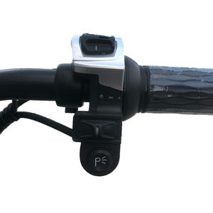 Tous les vélos électriques 133fi avec 990W Vente en gros Bulk Vietnam Cheap Plus Attractive Sporty 48V Voltage Central Motor Sensor Type - Product Image 5