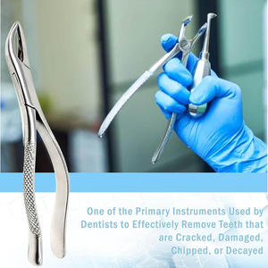 Bán buôn Chất lượng cao thép không gỉ nha khoa nhãn răng khai thác forceps cho rễ thấp hơn CE chứng nhận giá thấp - Product Image 2