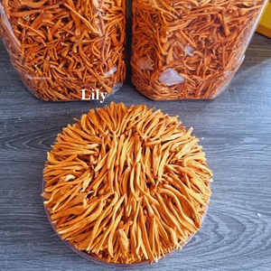 Cordyceps militaris lyophilisé de qualité supérieure, 100% naturel |   Stimulant immunitaire |   OEM/ODM disponible/ Lily - Product Image 4