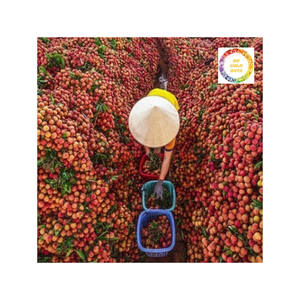 Lichi congelado de alto grado de origen vietnamita, naturalmente dulce, cuidadosamente procesado, envasado al vacío para una máxima frescura - Product Image 4