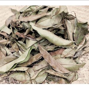 Feuilles de corossol fraîchement séchées avec un grand arôme et des prix compétitifs. - Product Image 1